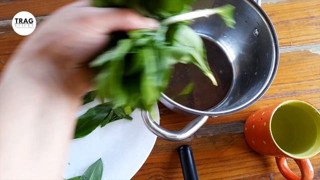 SREMUŠ (lat. Allium ursinum) - ZAŠTITA BILJAKA I RECEPTI (2022) [TRAG BILJKE] смотреть онлайн