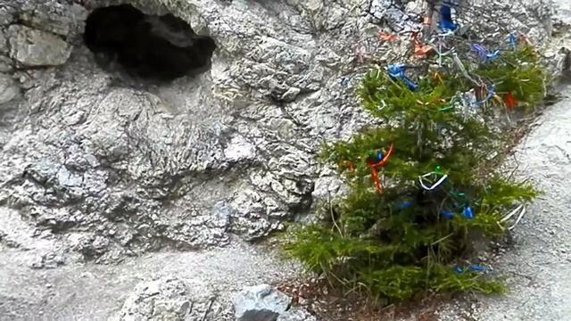 БУРЯТИЯ. АРШАН. СТАРЫЙ ПАРК ДЕРЕВО ЛЮБВИ . смотреть онлайн