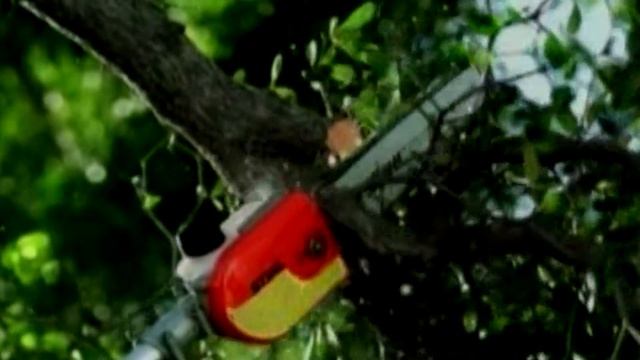 TROY SMALL MOTORS STIHL REVISED 2016 смотреть онлайн