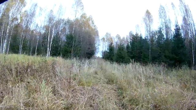 Болото с бревнами на ТТР 250 смотреть онлайн