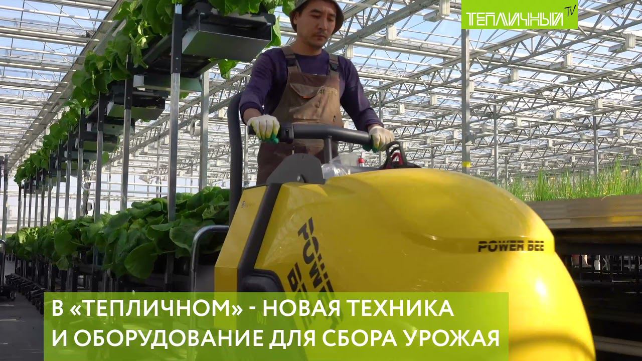 Новые тележки для сбора урожая обкатывают в "Тепличном" смотреть онлайн