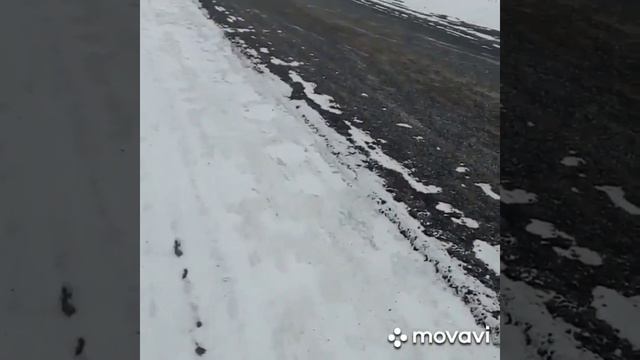 Срочно принимайте меры. смотреть онлайн