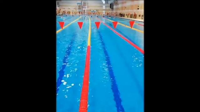 Правильное плавание баттерфляем в Школе SwimLife.by смотреть онлайн