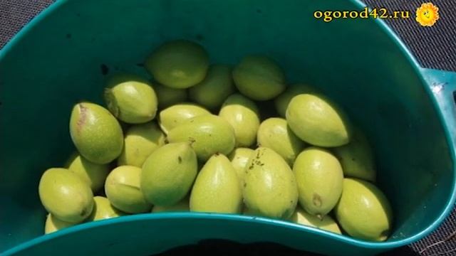 Ремонтная Фантазия