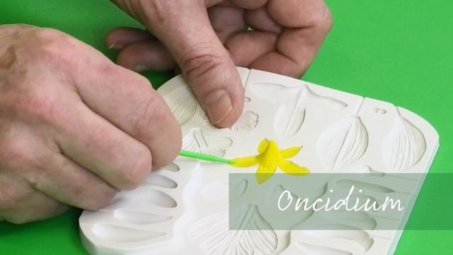 Flower Pro Ultimate Orchids Food Safe Silicone Moulds & Veiner Set смотреть онлайн