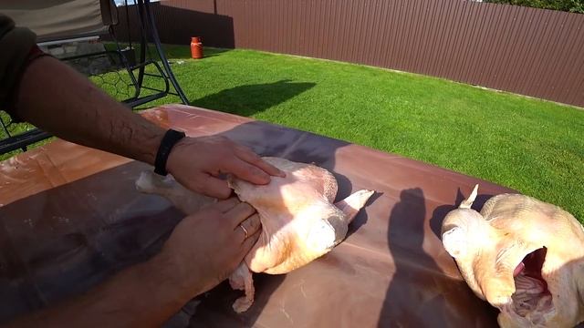 Кобб-500 2 месяца итоги,вес бомба смотреть онлайн