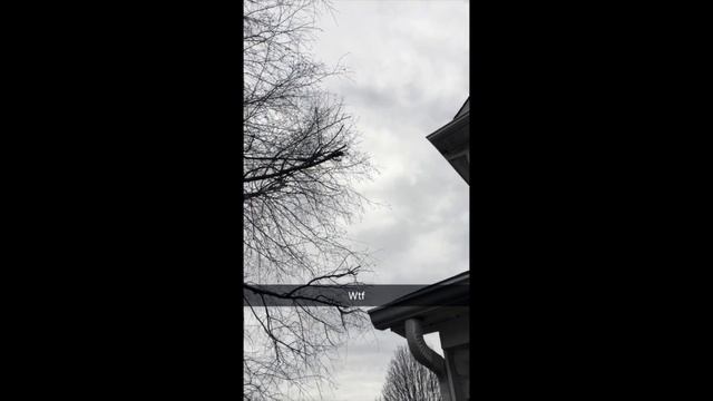 Look at this crazy flying Squirrel!!! смотреть онлайн