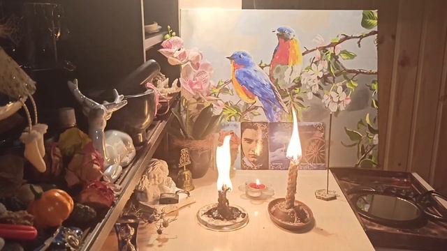 ?ЧИСТКА ОТ ПОРЧИ НА ВНЕШНОСТЬ И КРАСОТУ??✨?✅ смотреть онлайн