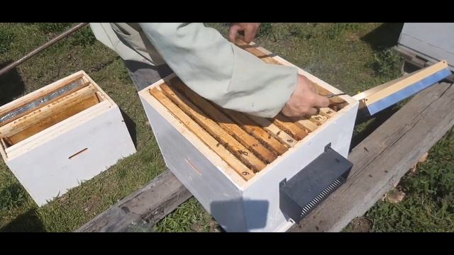 Расширение пчел.29.04.на весах первый +.Расширяю вощинной и магазинной надставкой. смотреть онлайн