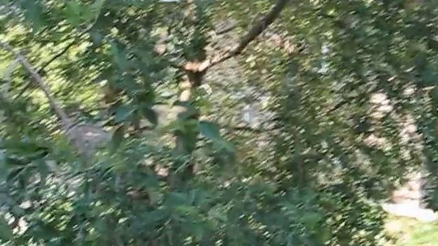 Праздник на нашей улице :) смотреть онлайн