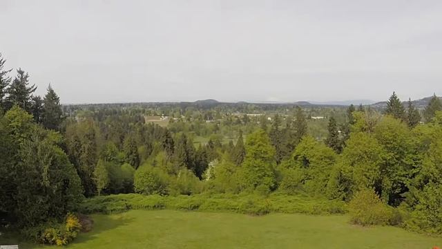 Intro with Rhododendron Trees Blossoming 4/16/2016 смотреть онлайн