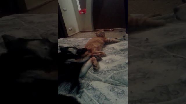 Берта и Ко у мамы на диване смотреть онлайн