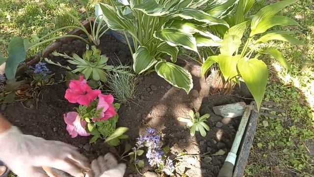 Клумба на колесах? смотреть онлайн