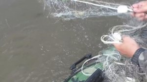 Рыбалка сетями, на день рыбака