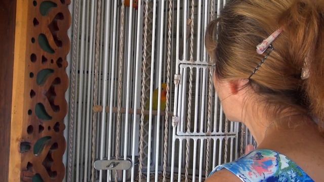 Чудо - Парк "Лога" - сказка для детей и взрослых смотреть онлайн