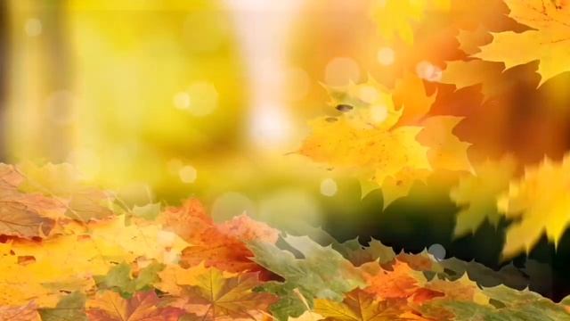 Ліплення «Їжачок» середня група смотреть онлайн