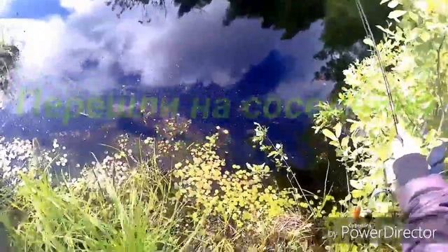 Ловля ротана на спиннинг!!! ● Отличная рыбалка! смотреть онлайн