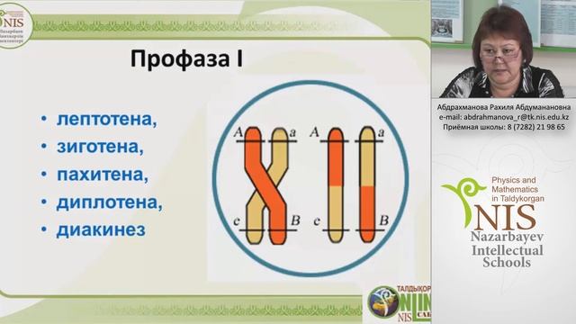 Абдрахманова Р А Клеточный цикл Митоз Мейоз, механизмы рекомбинации генетического ма смотреть онлайн