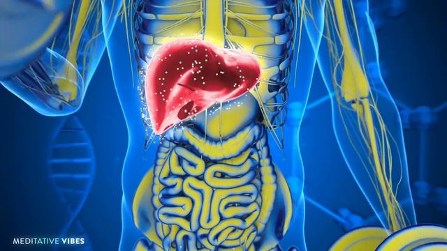 [THE BODY REGENERATES AFTER 14 MINUTES] 🦴️ Healing With 432Hz + 528Hz Sound Therapy + Alpha Waves #