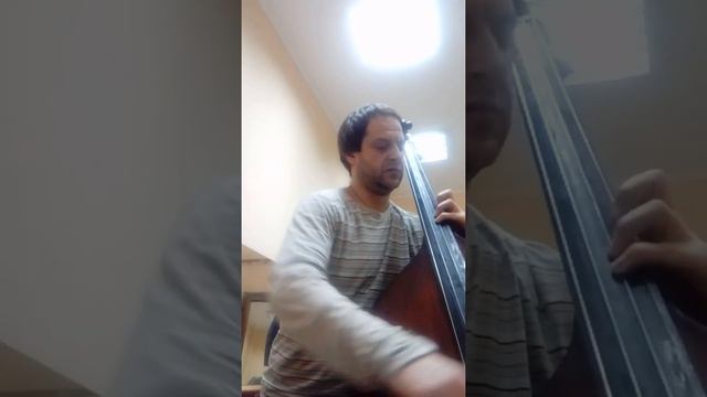 Ф.А. Хоффмайстер Концерт С Dur смотреть онлайн