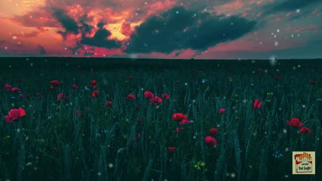 Вышел Покурить -- Стану для тебя смотреть онлайн