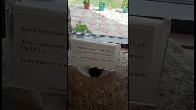 Удивительная поездка к башне Бурана. смотреть онлайн