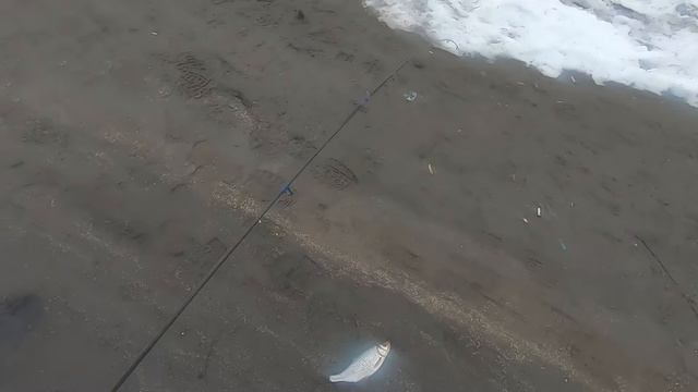 Шнур Gosen Fata Resonator PE #0.09 0.051mm -Тест на воде