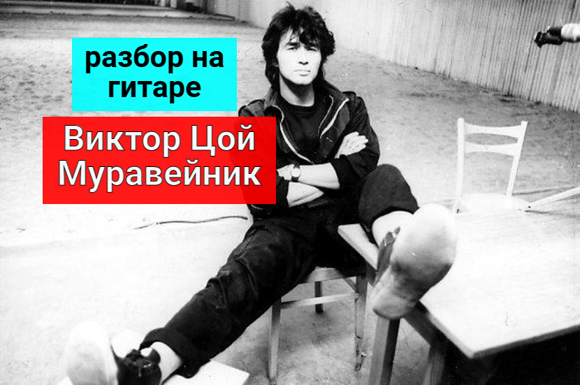 ВИКТОР Цой. Муравейник. На аккордах. Разбор на Гитаре #цой #гитара #guitar #урокигитары #разбор смотреть онлайн