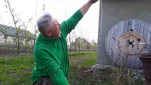 Формировка и выбор саженца черешни перед посадкой