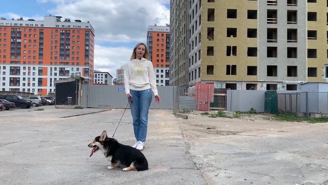 Жилой комплекс Галактика в Адмиралтейском районе СПб. Метро и центр города рядом #54 смотреть онлайн