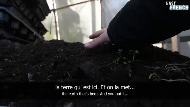 A French Farm (1) | Super Easy French 20 смотреть онлайн