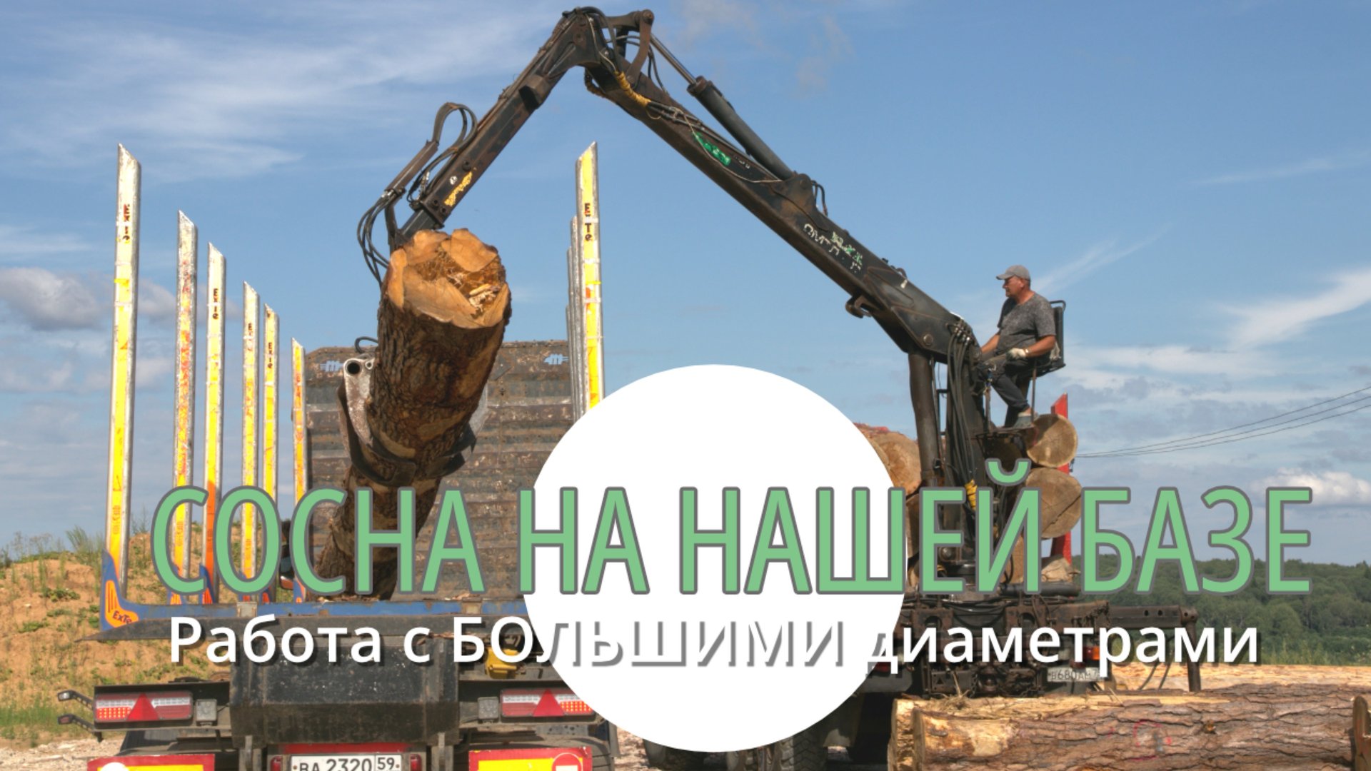 240808 Рубленый дом_ завезли сосну большого диаметра на базу, подготавка к сушке и хранению смотреть онлайн