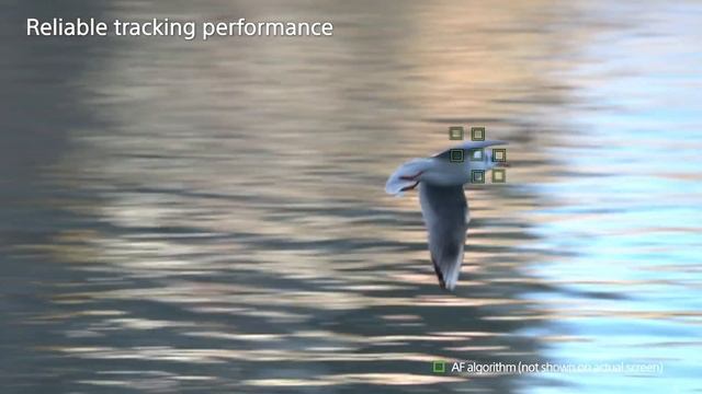 Fast Hybrid AF For Movies Comparison In Full HD | Alpha 6300 | Sony | α