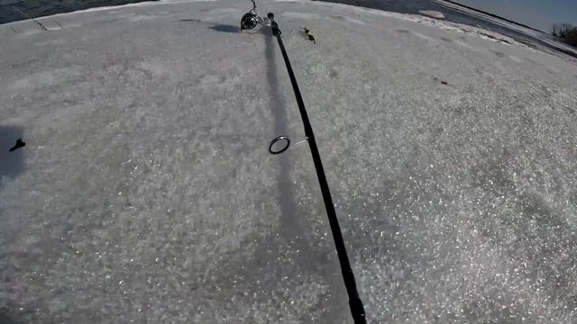 Бешеная густера спиннинг/ Открытие сезона 2023 / Весенний джиг / Спиннинг / Рыбалка в Котласе смотреть онлайн