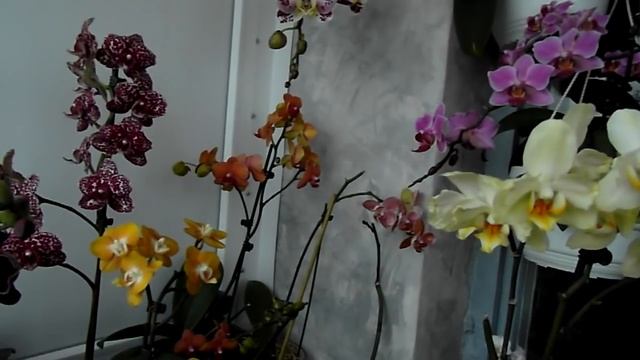 Ваш вопрос - мой ответ.  Полезное видео.