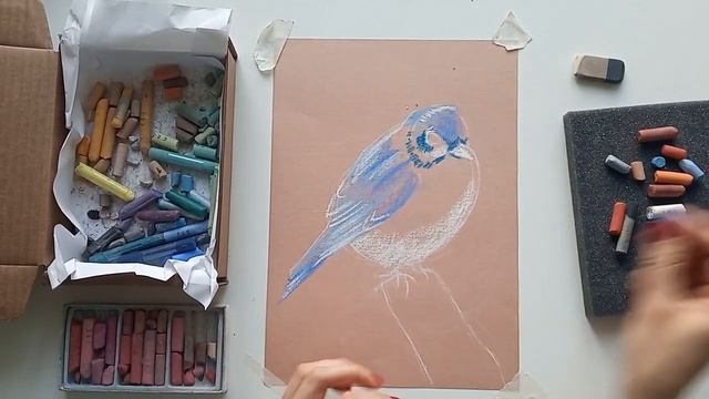 Рисуем синюю птицу сухой пастелью смотреть онлайн