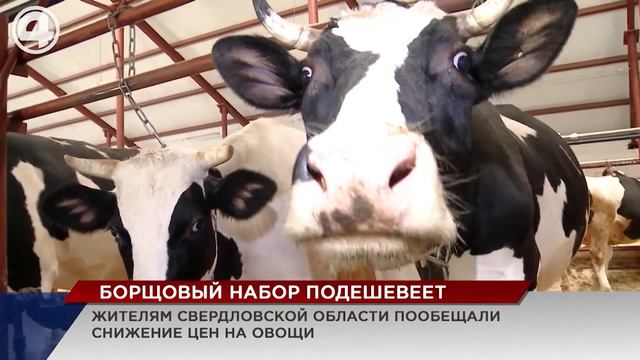 Что будет с ценами на продукты? смотреть онлайн