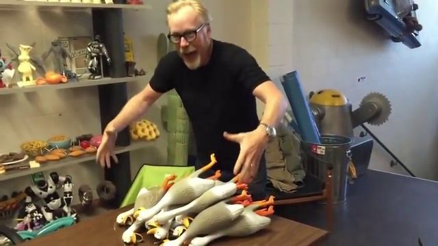 Screaming duck- Орущие утки. смотреть онлайн