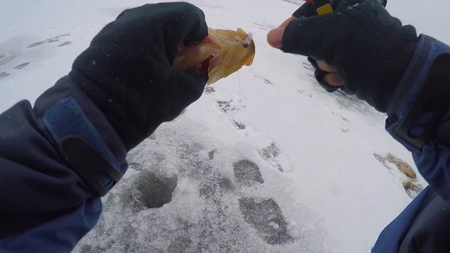 "Нестандартный подход" - ловля крупного ротана на съедобную резину по первому льду смотреть онлайн