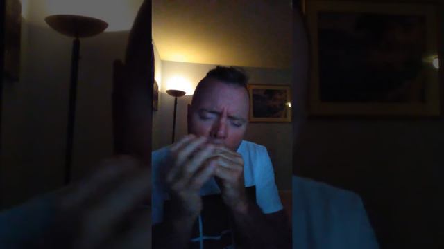 Moon River. Harmonica. смотреть онлайн