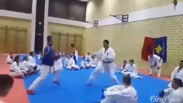 Wkf kumite Treaning смотреть онлайн