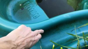 Чистим и подготавливаем пруд к зиме