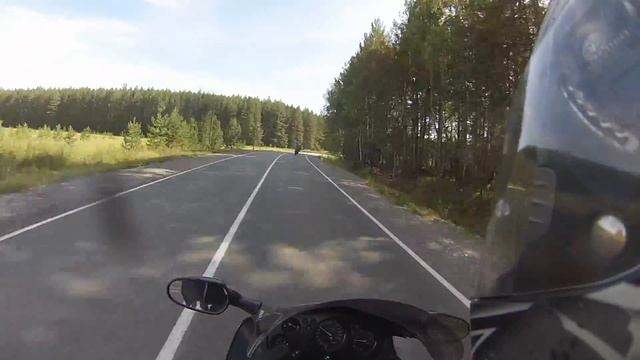 Катаем в последние солнечные и теплые деньки . Дрозд , выфер и Р6 . смотреть онлайн