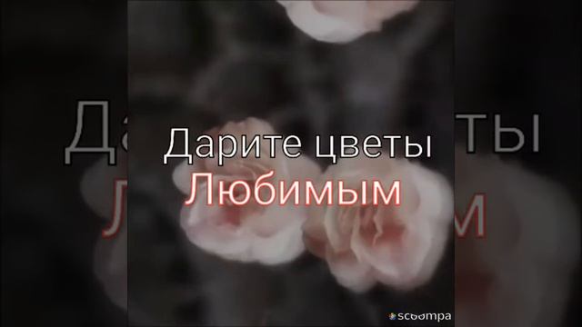 Вот такая реакция на красивые цветы смотреть онлайн