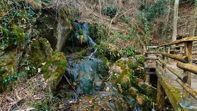 Полное Расслабление! Забыть о Проблемах Поможет Пение Птиц и Журчание Лесного Ручья смотреть онлайн