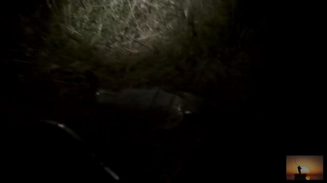 Рыбалка на Дону. Топольки. В поисках рыбы в жару летом. Сазан. Макушатник. Кукуруза на волос смотреть онлайн