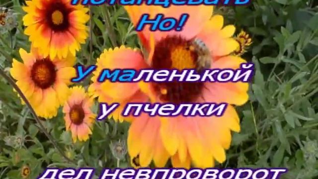 Пчёлка ЖУ ЖУ - КАРАОКЕ смотреть онлайн