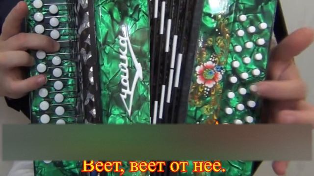 Лебеда трава зеленая || разбор на гармони смотреть онлайн