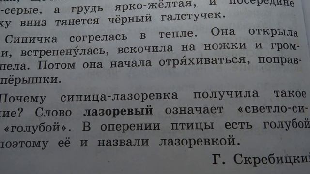 Проверяю рабочие тетради по русскому языку смотреть онлайн