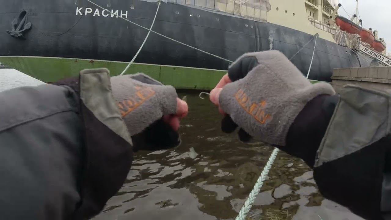 #392 #streetfishing | Невский окунь |